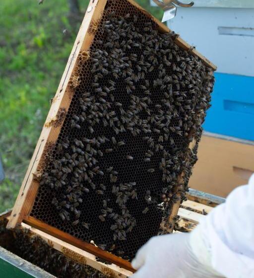 فندق Agriturismo Da Natalino