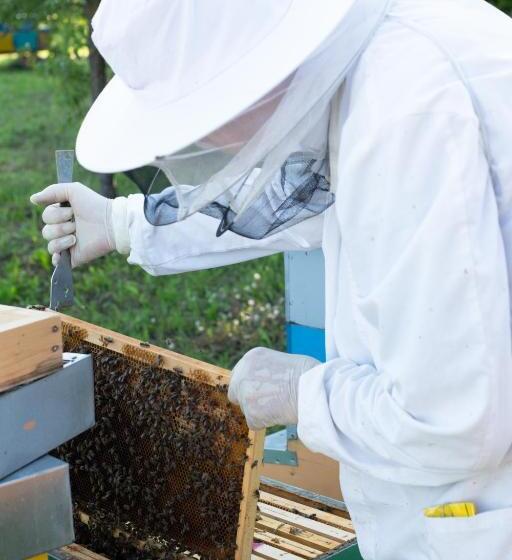 فندق Agriturismo Da Natalino