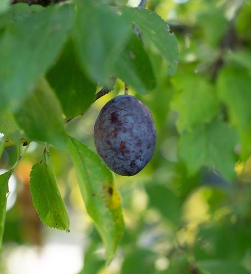 فندق Agriturismo Da Natalino
