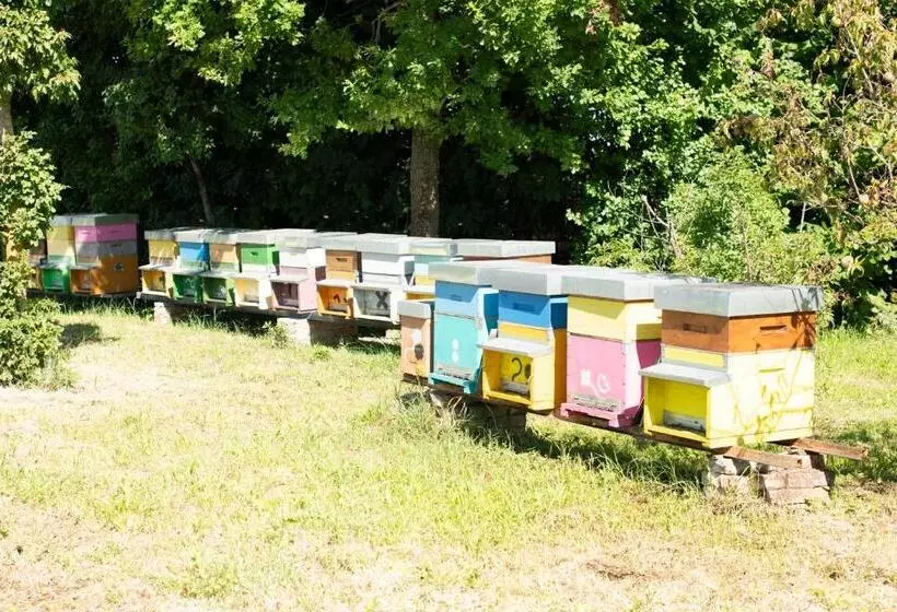 ホテル Agriturismo Da Natalino