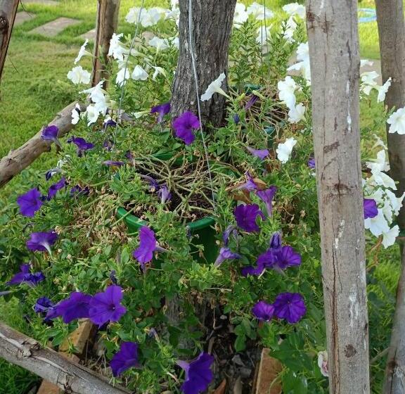 בית מלון כפרי Homey Hut Ayutthaya