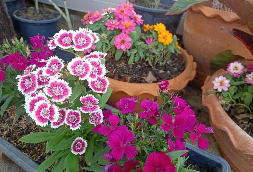 בית מלון כפרי Homey Hut Ayutthaya