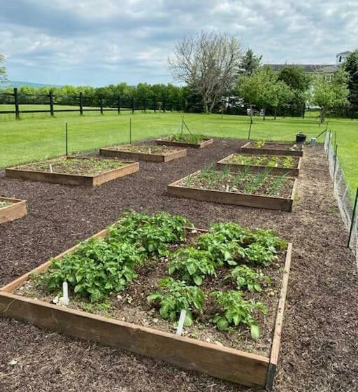 בית מלון כפרי Letchworth Farm Guesthouses