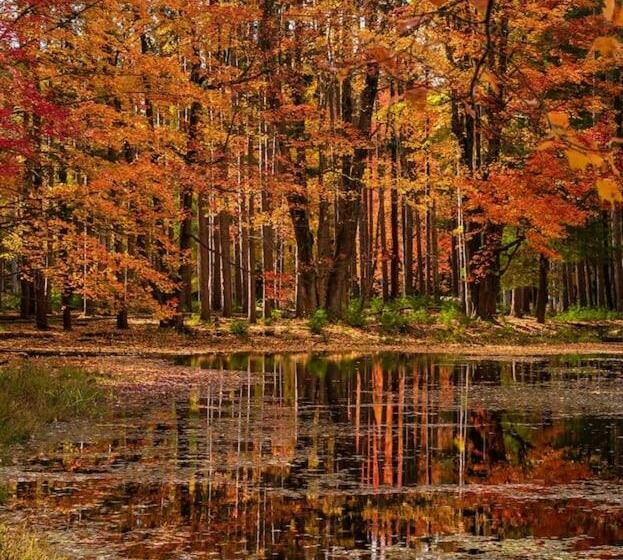 בית מלון כפרי Letchworth Farm Guesthouses