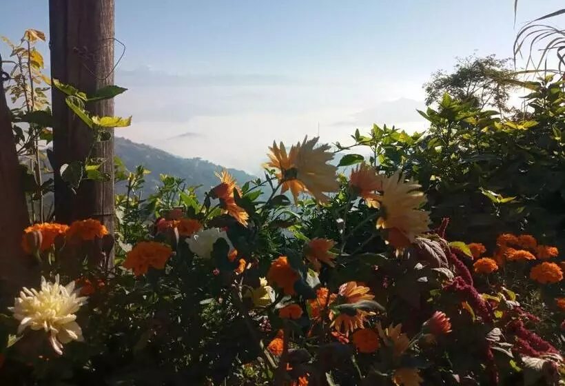 هتل Unique Point Home Stay