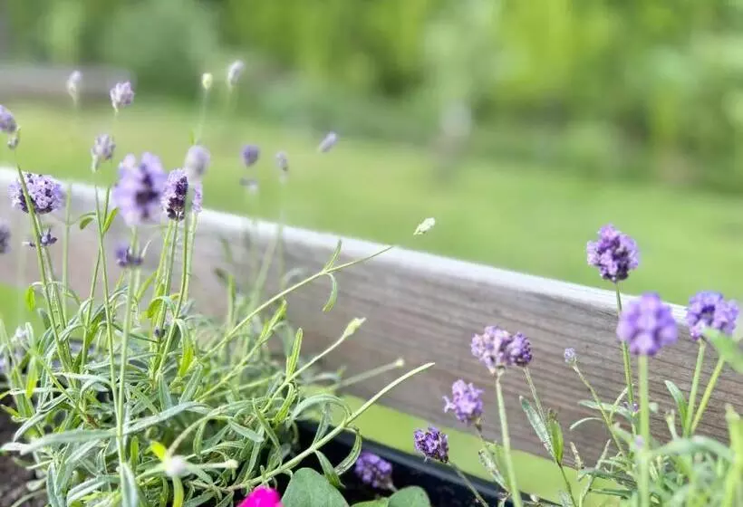 Lilla Huset Bed & Breakfast   Countryside Guesthouse, Free Parking