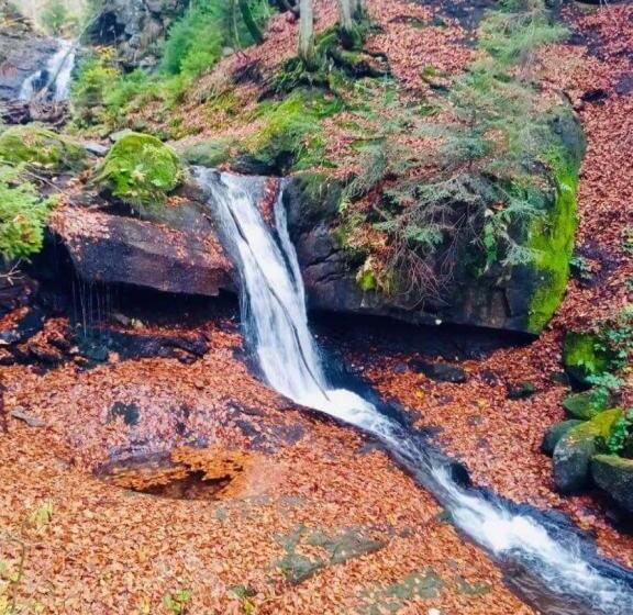 پانسیون Dworek Ewunia