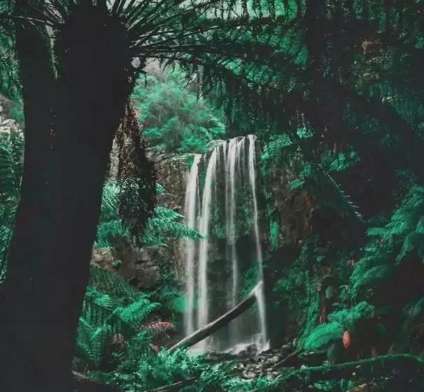 Majatalo Great Ocean Road Wellness And Nature Stay