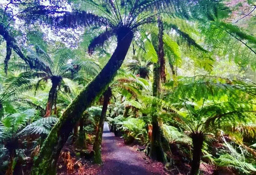 Majatalo Great Ocean Road Wellness And Nature Stay