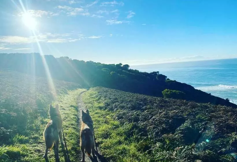 Majatalo Great Ocean Road Wellness And Nature Stay