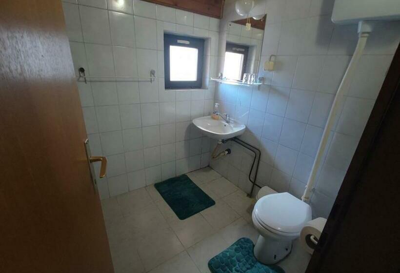 هاستل Vila Danica  Zaječar