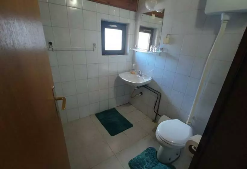 هاستل Vila Danica Zaječar