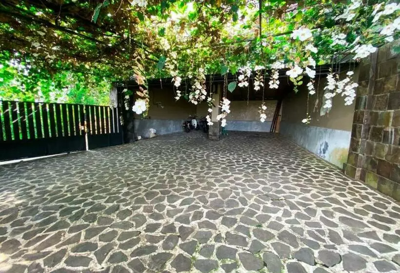 Retkeilymaja Villa Wibuti