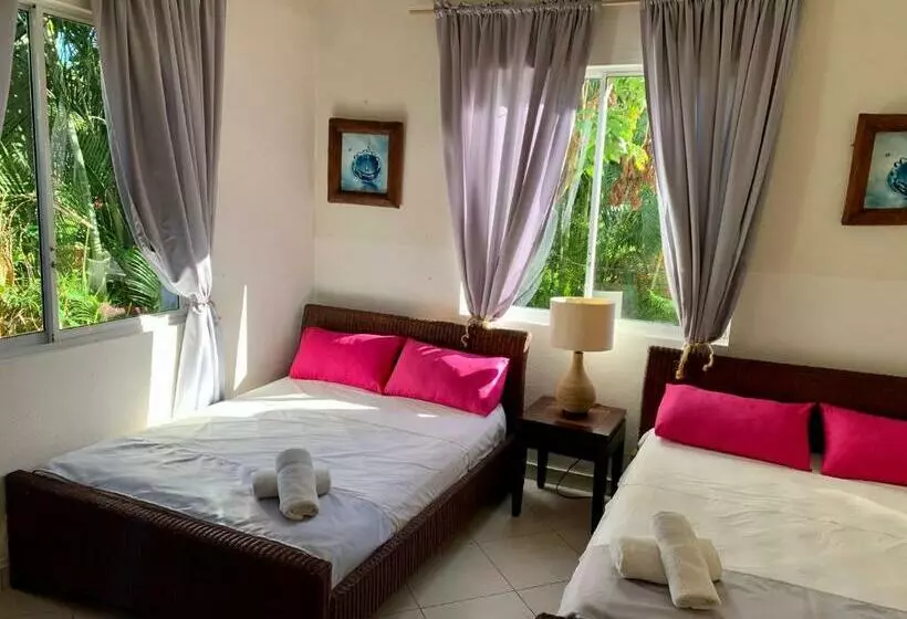 تختخواب و صبحانه Casa Caribe Tropical , Playa Bonita, Las Terrenas