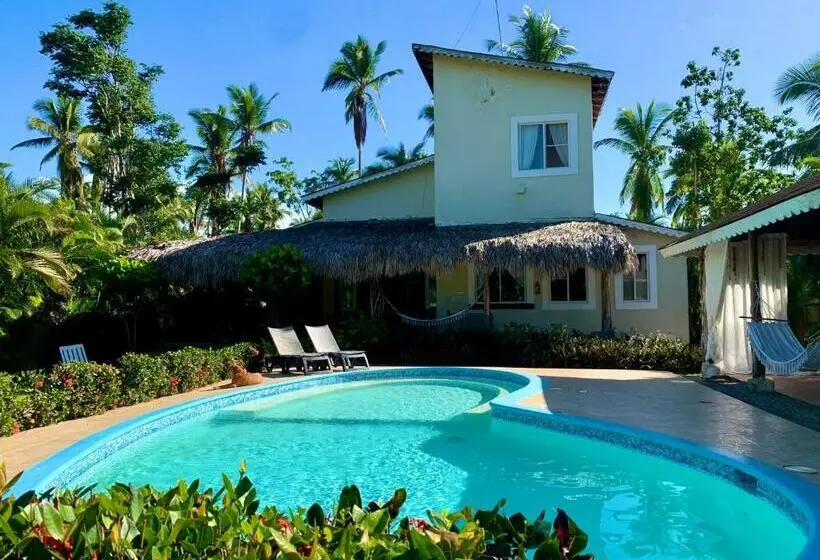 تختخواب و صبحانه Casa Caribe Tropical , Playa Bonita, Las Terrenas
