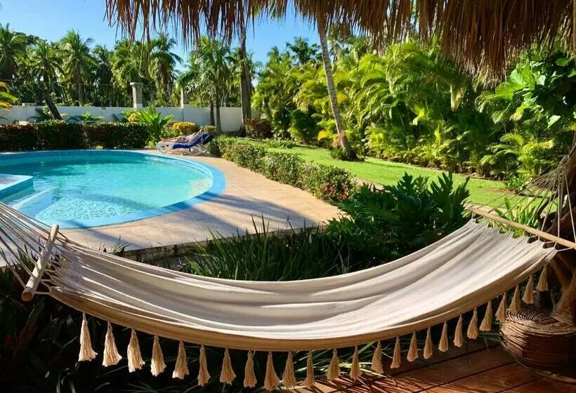 تختخواب و صبحانه Casa Caribe Tropical , Playa Bonita, Las Terrenas