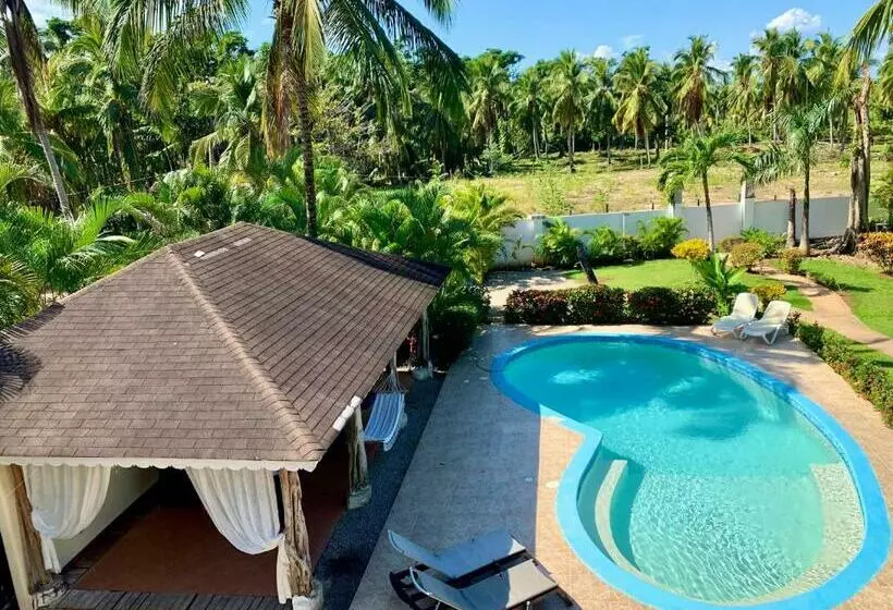 تختخواب و صبحانه Casa Caribe Tropical , Playa Bonita, Las Terrenas