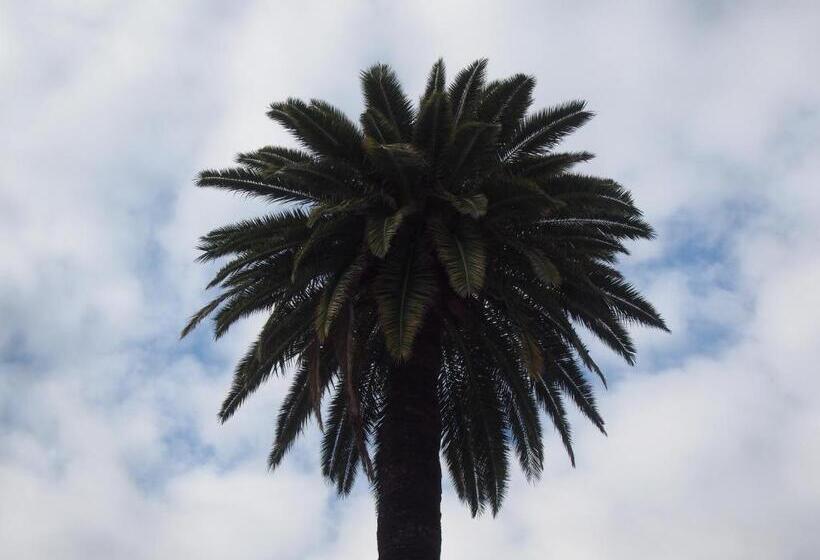 مبيت وإفطار Les Chambres D Hôtes De L Oliveraie