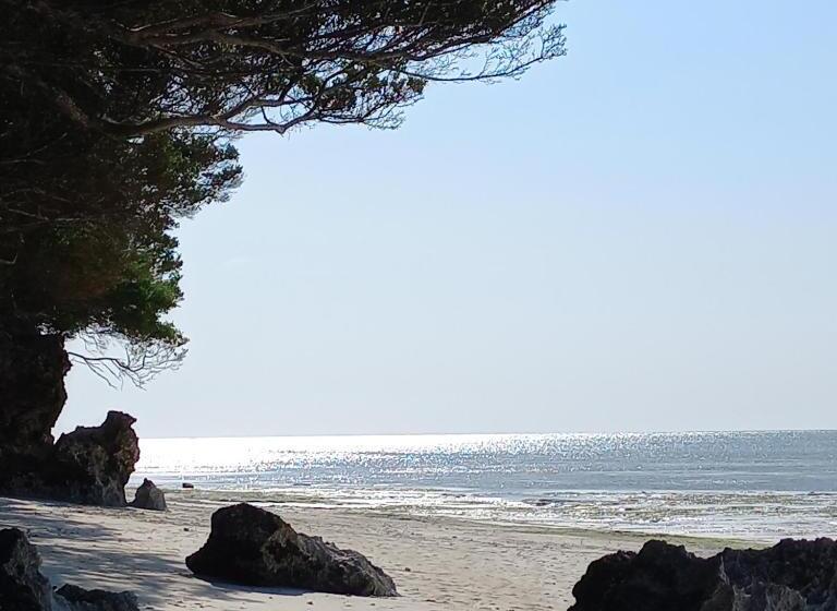 Bed & Breakfast Mana Nungwi