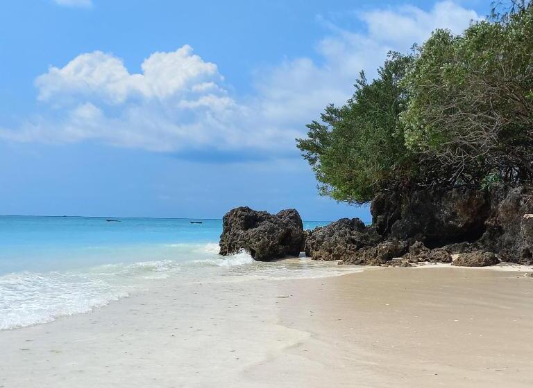 Bed & Breakfast Mana Nungwi