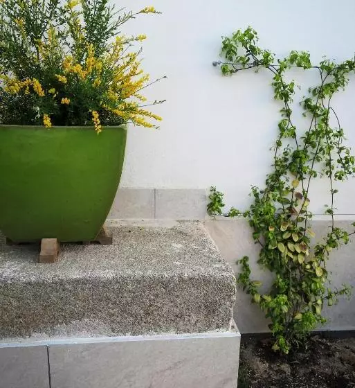 Aamiaismajoitus (B&B) Tomé, Casa De Huéspedes