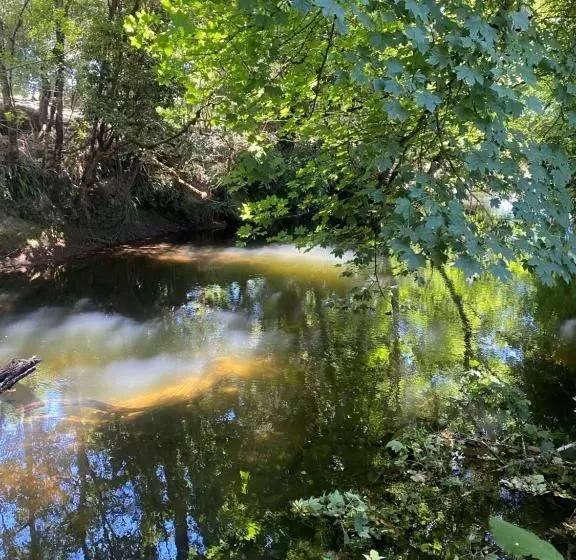 El Encanto De Antilhue