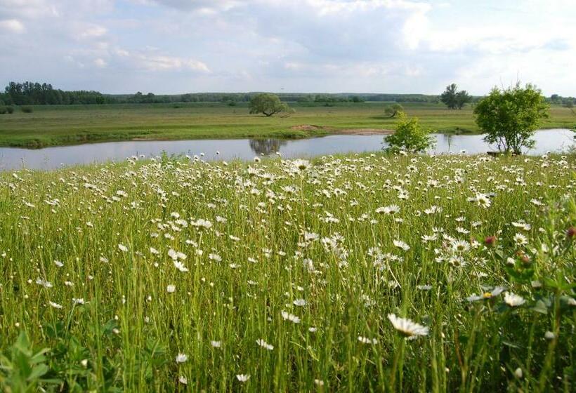 בית מלון כפרי Agroturystyka Nad Wartą