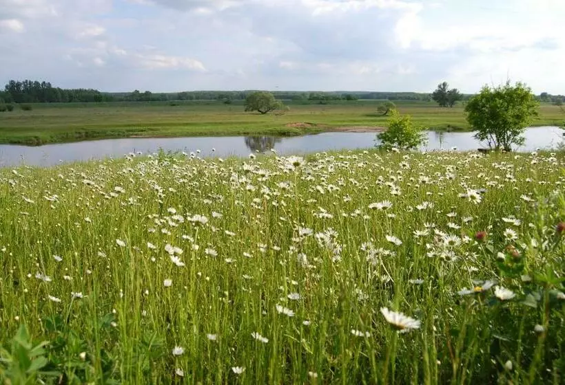 ホテル Agroturystyka Nad Wartą