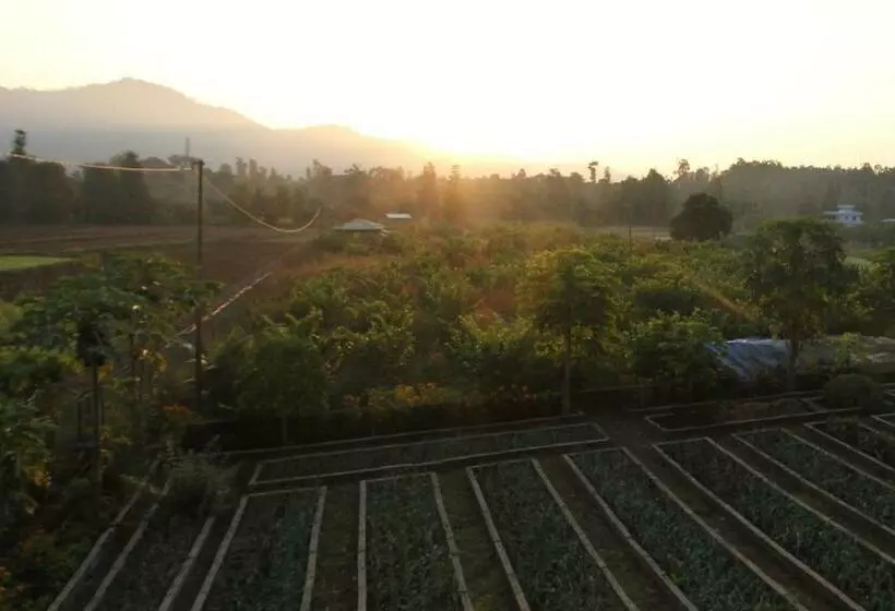 ホテル Forest Side Farm Rooms With View Of Hills, Jungle And Farm Lands