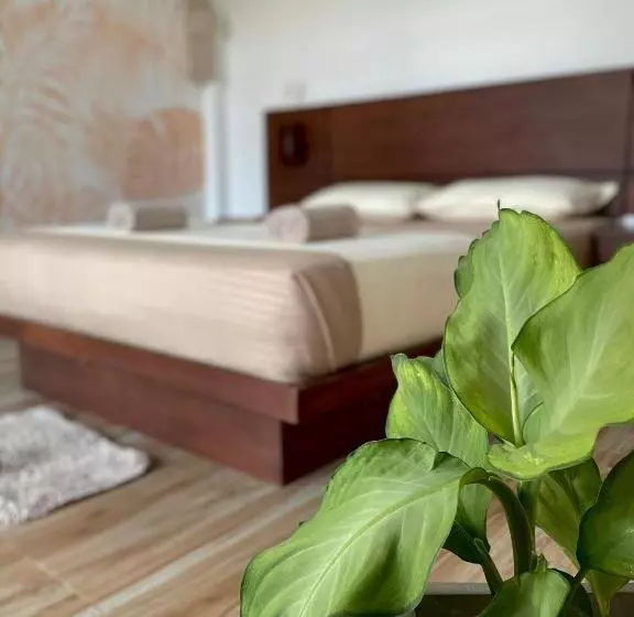 ホテル Lost Paradise Sri Lanka