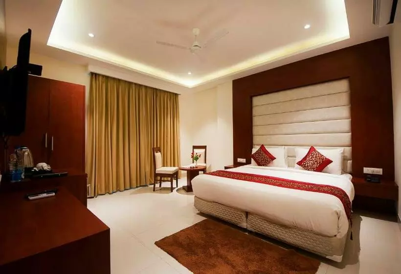 Airport Hotel Swan Near Delhi Airport