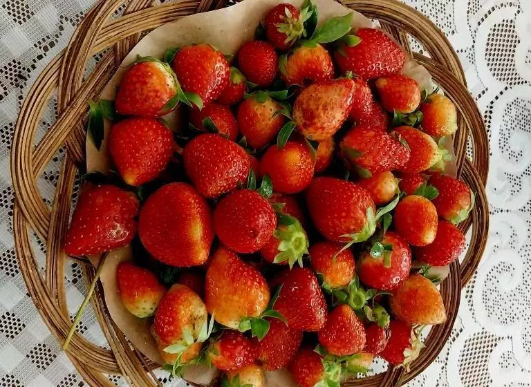 Motelli Wisma Mangurna