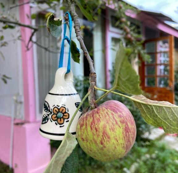 리조트 Sairra Hotel & Restaurant