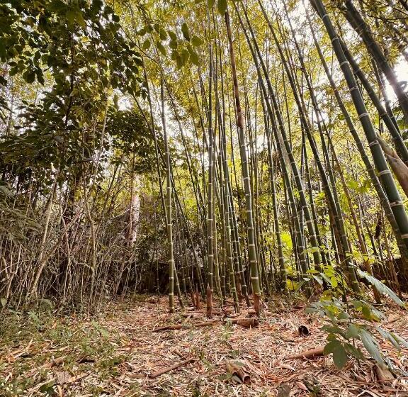 هاستل Lo Nuestro Hospedaje