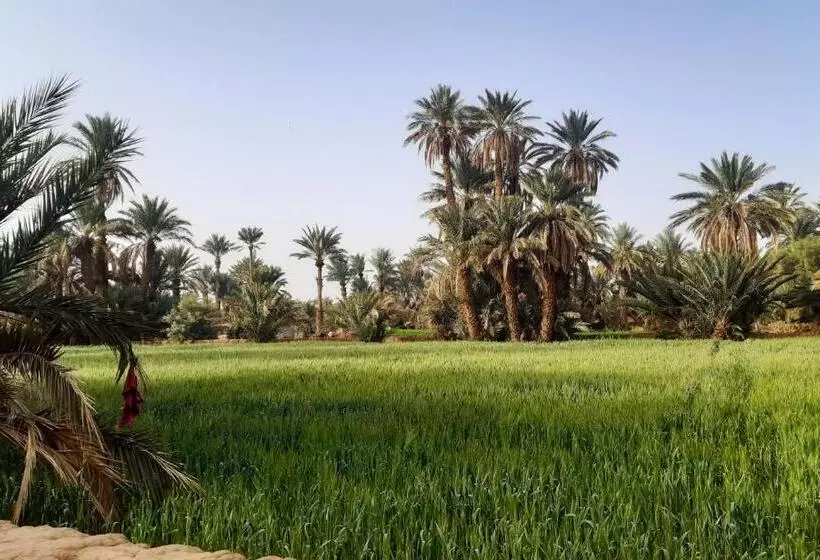 تختخواب و صبحانه Riad Dar Tiziri