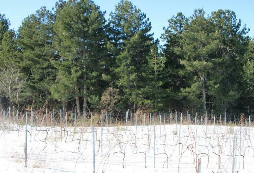 호텔 Agriturismo Il Parco