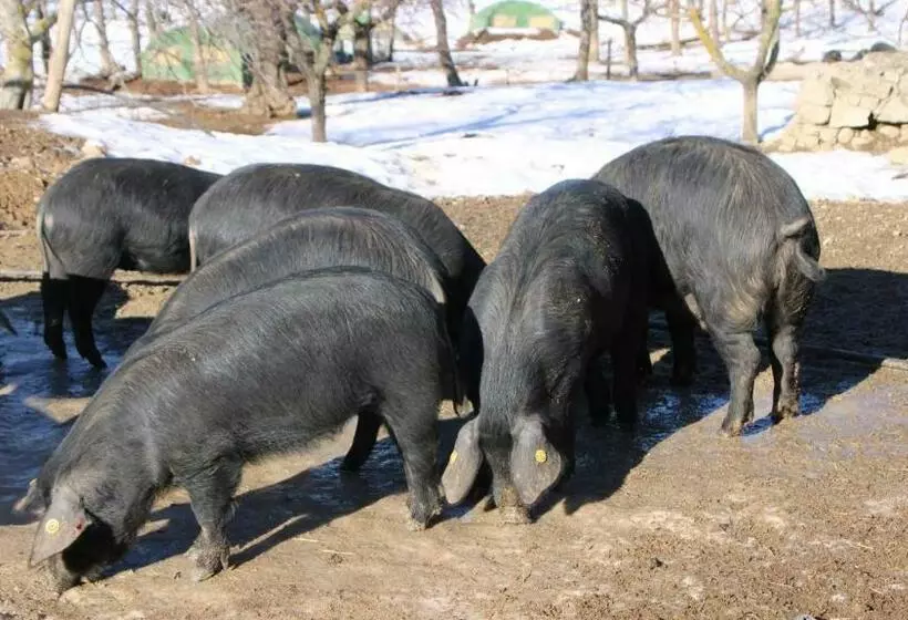 ホテル Agriturismo Il Parco