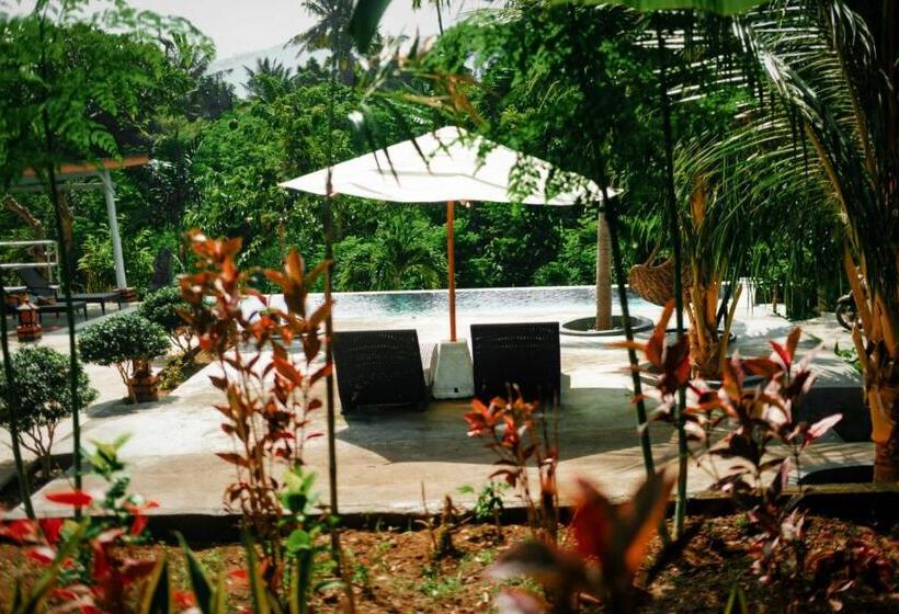 בית מלון כפרי Eco Moringa Garden