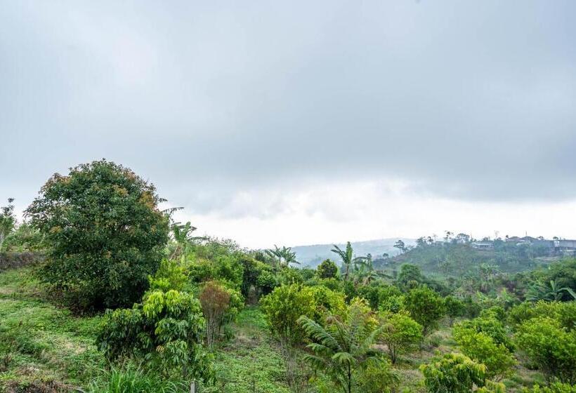 בית מלון כפרי Shankara Munduk Bali