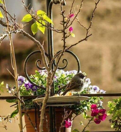 Отель Sidharta Room