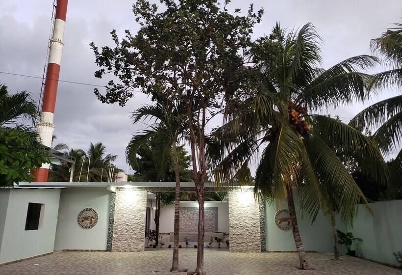 فندق Blue Turtle