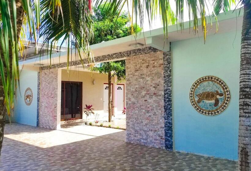 فندق Blue Turtle