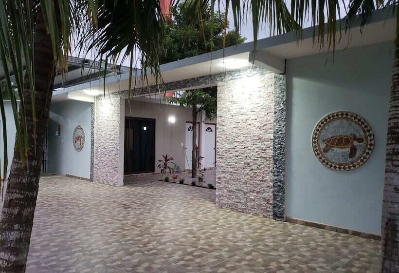 فندق Blue Turtle