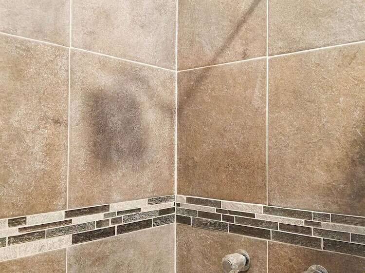 فندق Blue Turtle