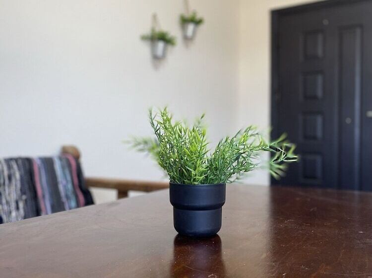 پانسیون La Casa Guest House