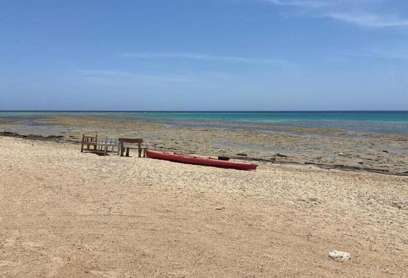 پانسیون La Casa Guest House