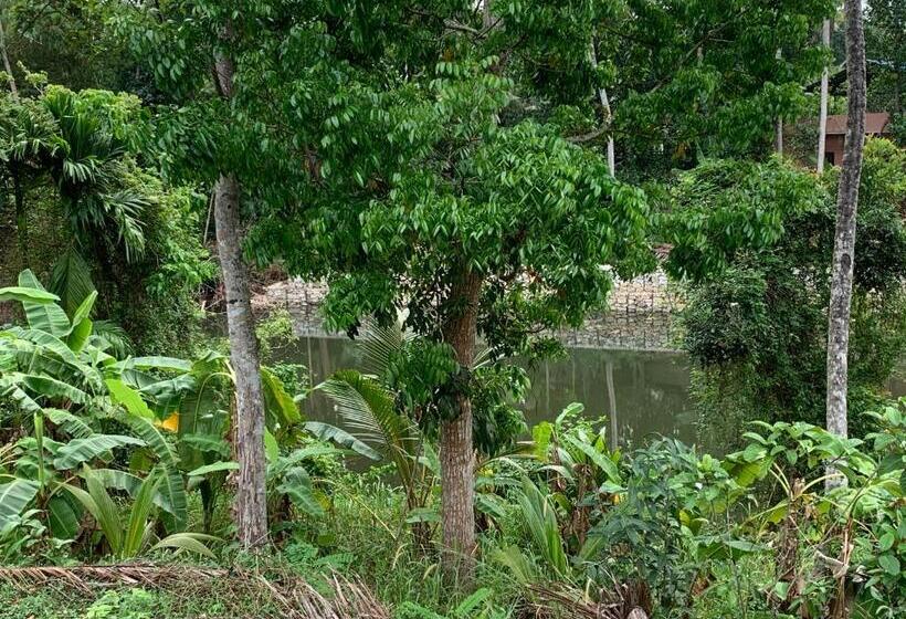 ベッドアンドブレックファースト Nirvana Home Stay Tvm  Allure