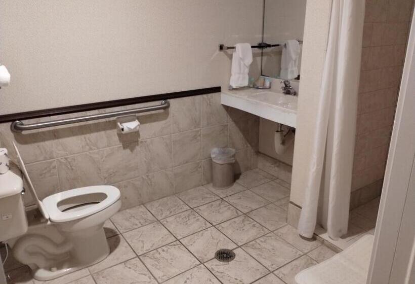 בית מלון כפרי Bay Valley Resort