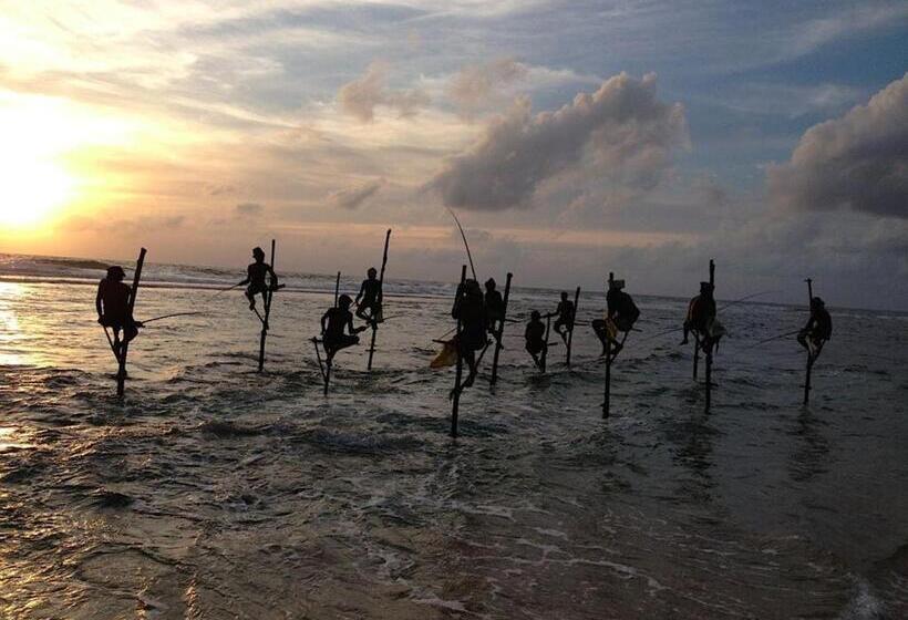 בית מלון כפרי Ceagull