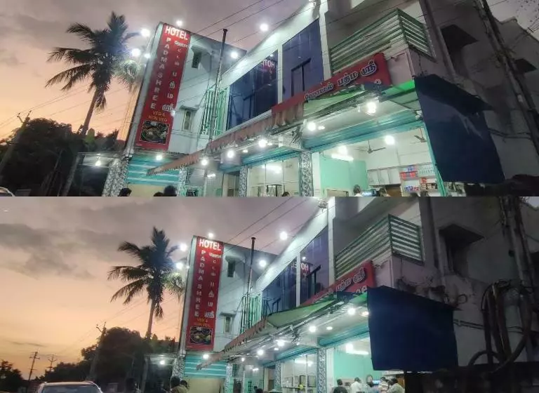 ホテル Padma Shree